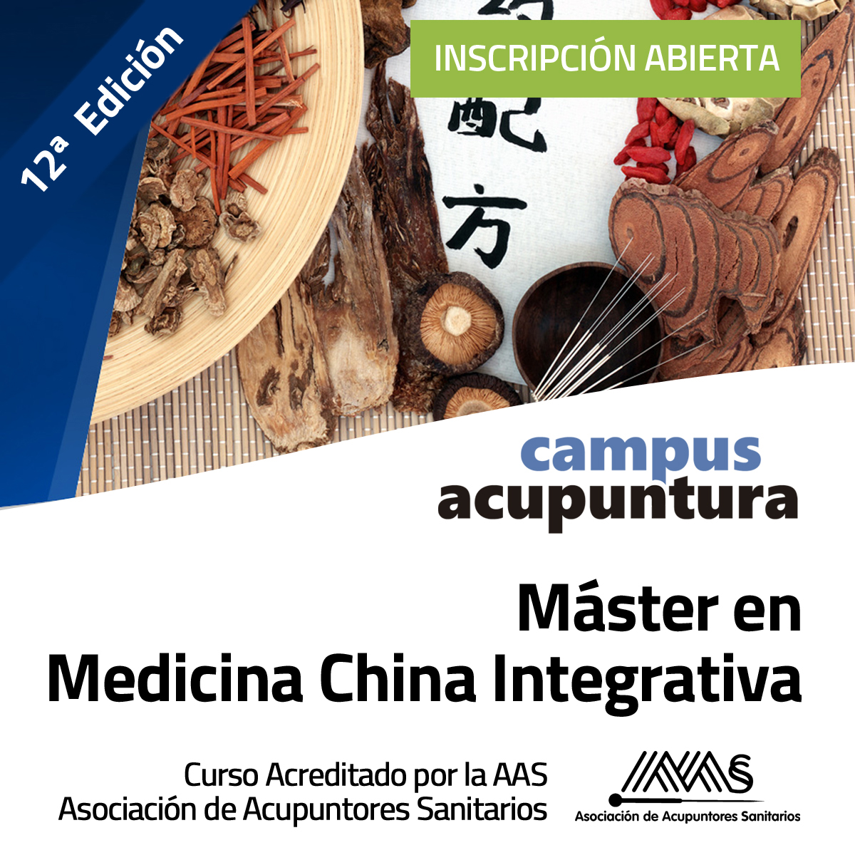 Máster en Medicina China Integrativa 12ª Edición